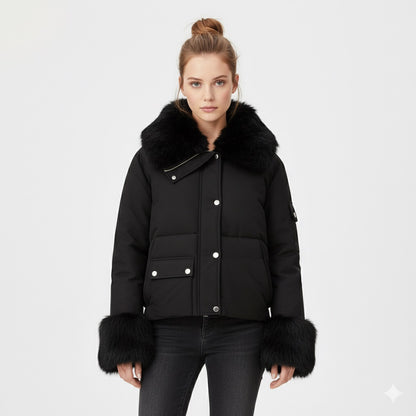 815 - Giubbino - FRANZESE